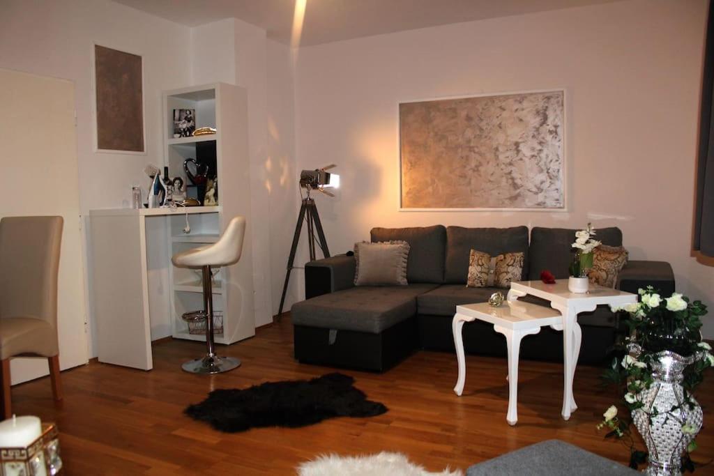 12-Fratelli Apartments Schloss Schonbrunn 10 To City เวียนนา ภายนอก รูปภาพ
