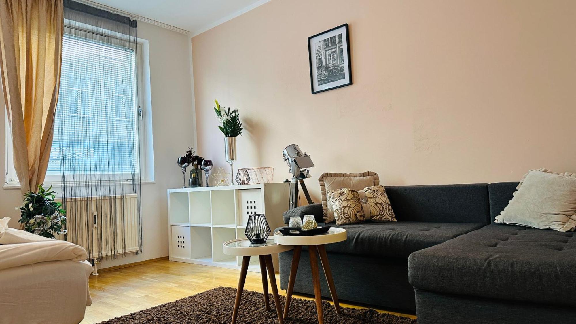 12-Fratelli Apartments Schloss Schonbrunn 10 To City เวียนนา ภายนอก รูปภาพ